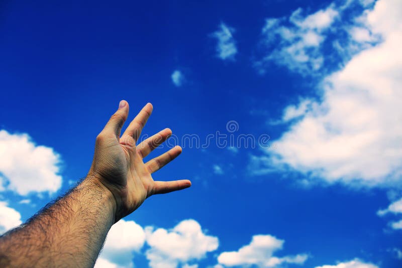 Hand reaching to sky stock photo. Image of adult, angle 11666708