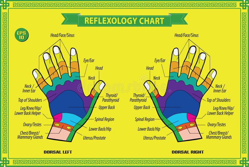 Free Foot And Hand Reflexology Chart