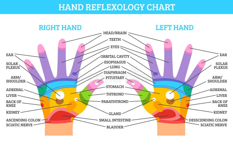 Ear Reflexology Chart