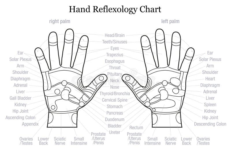 Reflexology Chart Thyroid