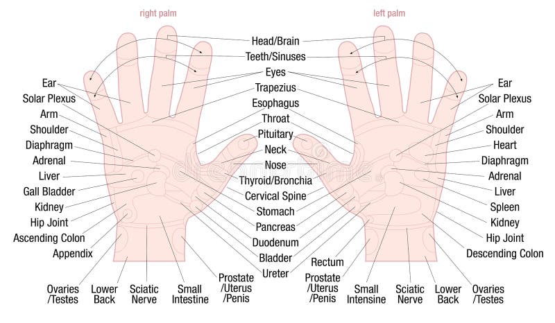 Zone Therapy Body Chart