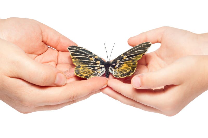 Butterfly on hand stock image. Image of fingers, insects 170379