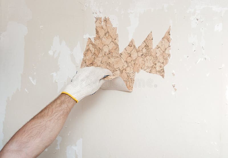 Hand removing wallpaper stock image. Image of trowel 35998327