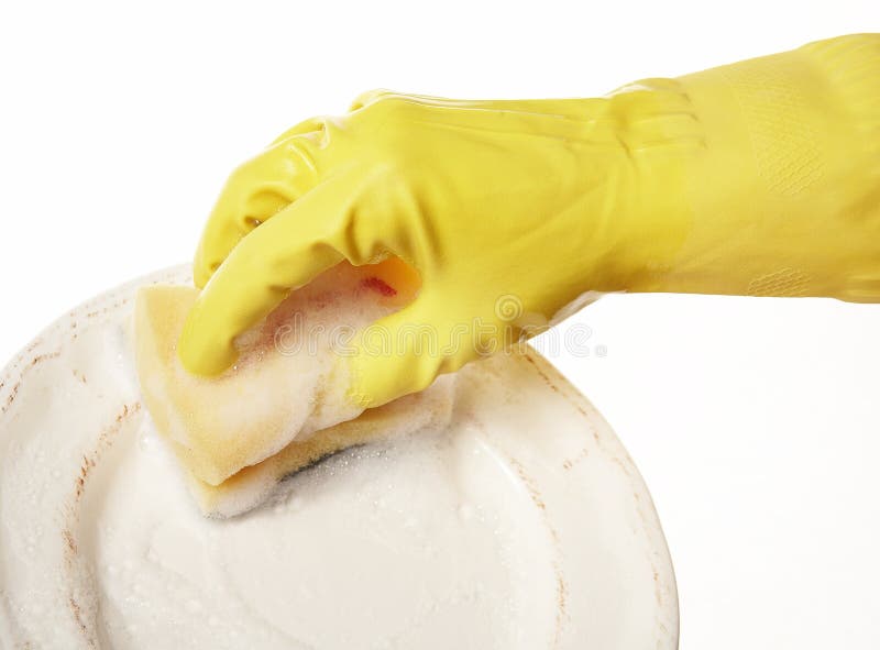 Hand in rubber glove 13