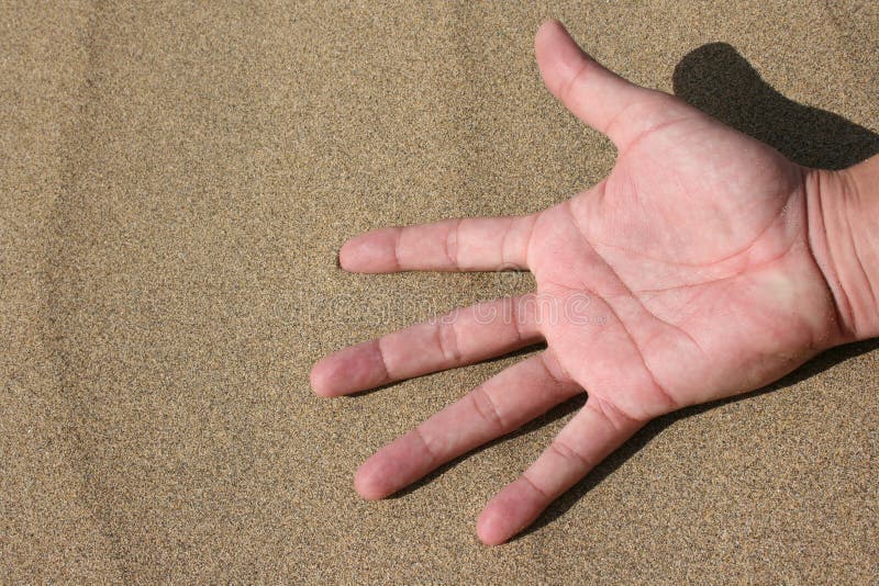 Hand in the Sand stock photo. Image of sunny, nature 19038648