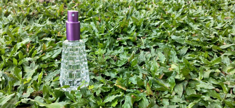Hand Sanitizer Spray Beautiful Green Grass Background Stock Photo Image Of Yard Crop 181977720