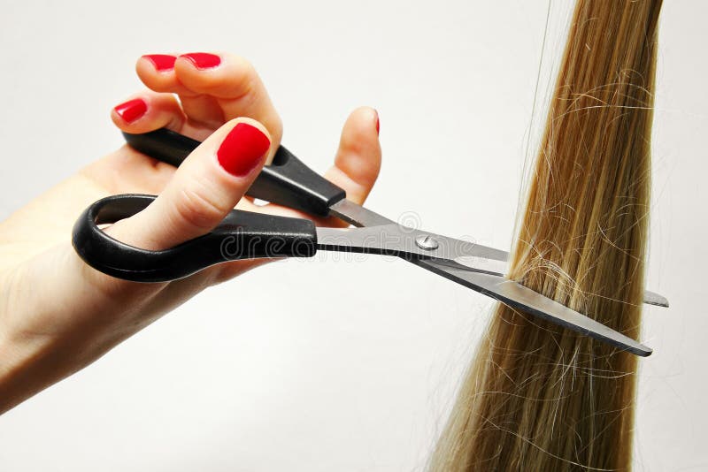 Hand with Scissors Cutting Long Hair Stock Photo Image of occupation