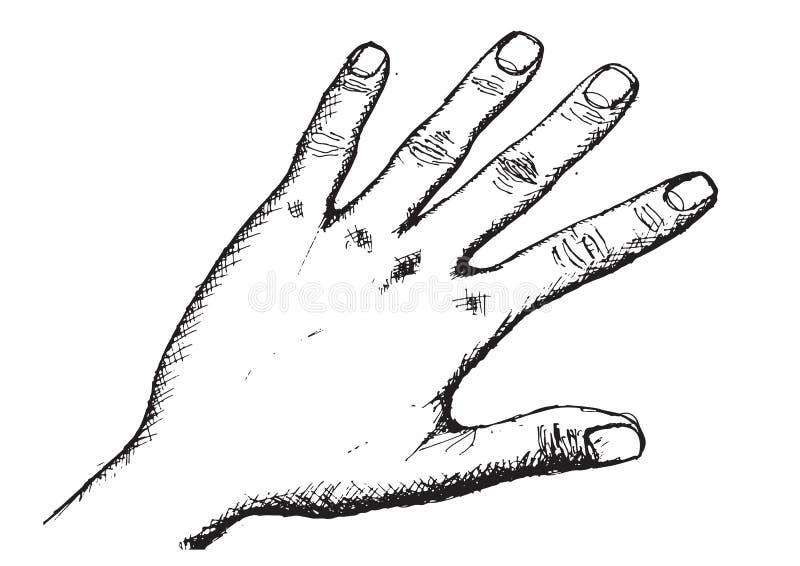 Hand Sketch by Pen stock vector. Illustration of finger - 64722648