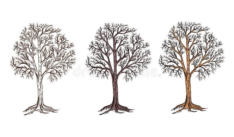 Hand sketched tree dry symbol vector illustration