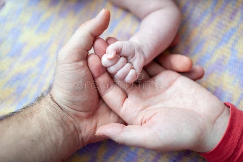 13 5 Baby Hand Mother Father Photos Free Royalty Free Stock Photos From Dreamstime 13 5 Baby Hand Mother Father Photos Free Royalty Free Stock Photos From Dreamstime