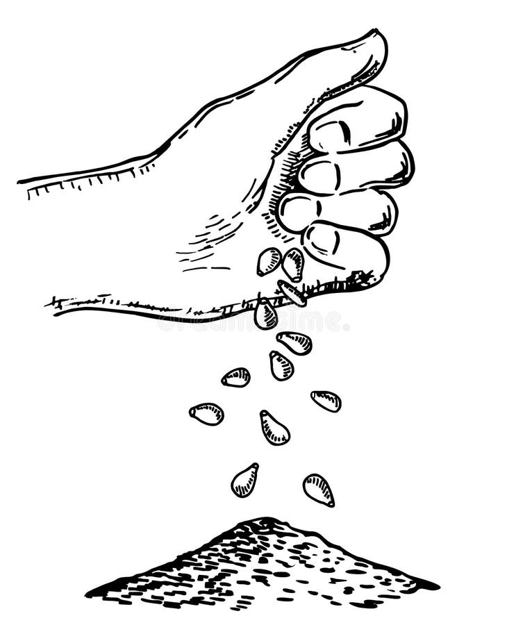 Hand Sowing Seeds. Vector Sketch Illustration with Hand Putting Seed To