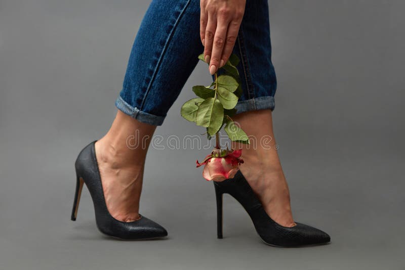 In the hand of a stylish girl a pink rose, a girl`s legs in jeans and black high-heeled shoes around a dark background