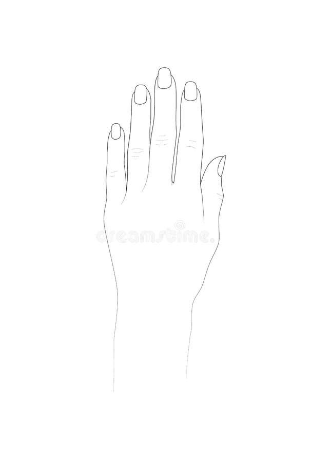 Henna Design Art Stock Illustrations 70 477 Henna Design Art Stock Illustrations Vectors Clipart Dreamstime