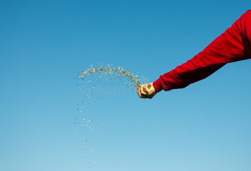 Hand Throwing Seeds