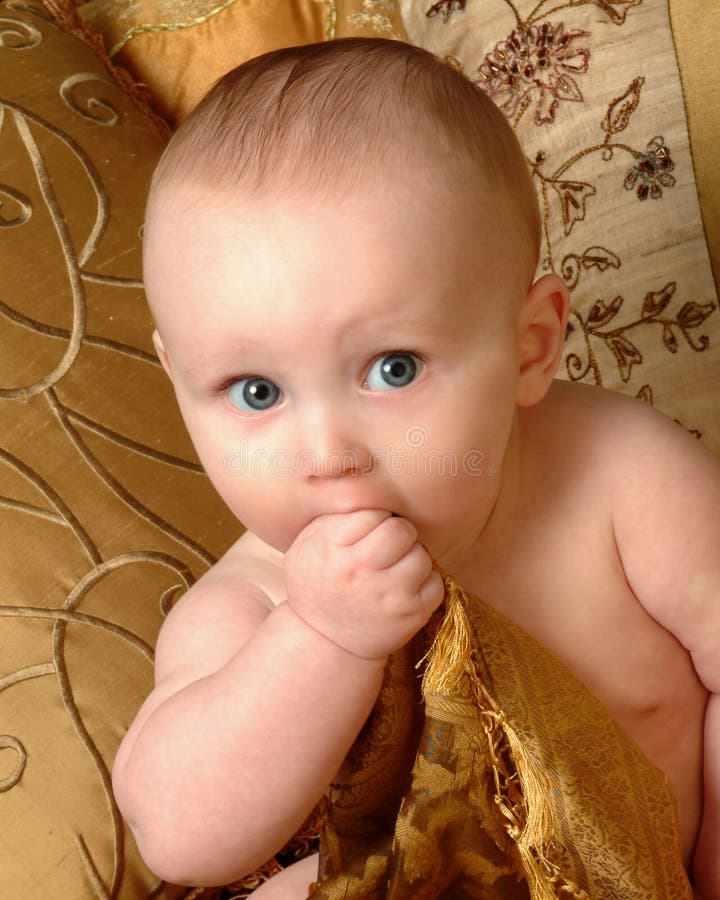 Hand to mouth muzzle dog. stock photo. Image of energy 69886434