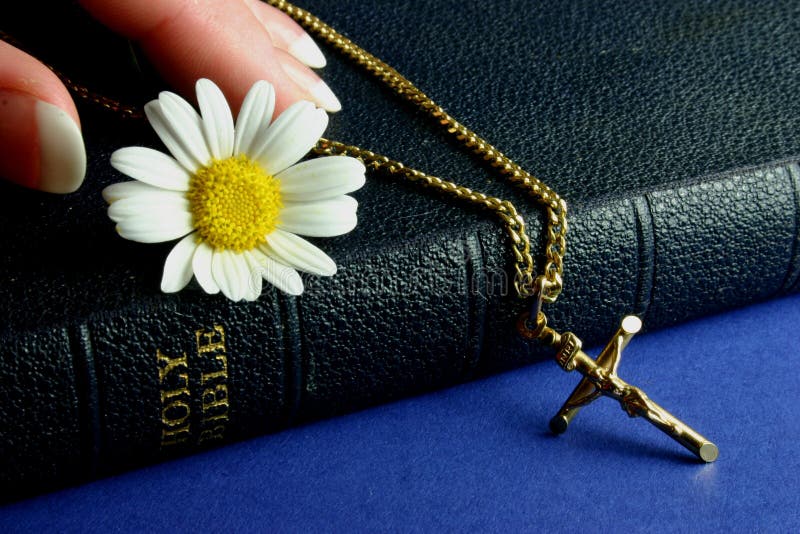 Hand touching bible with gold crucifix and flower