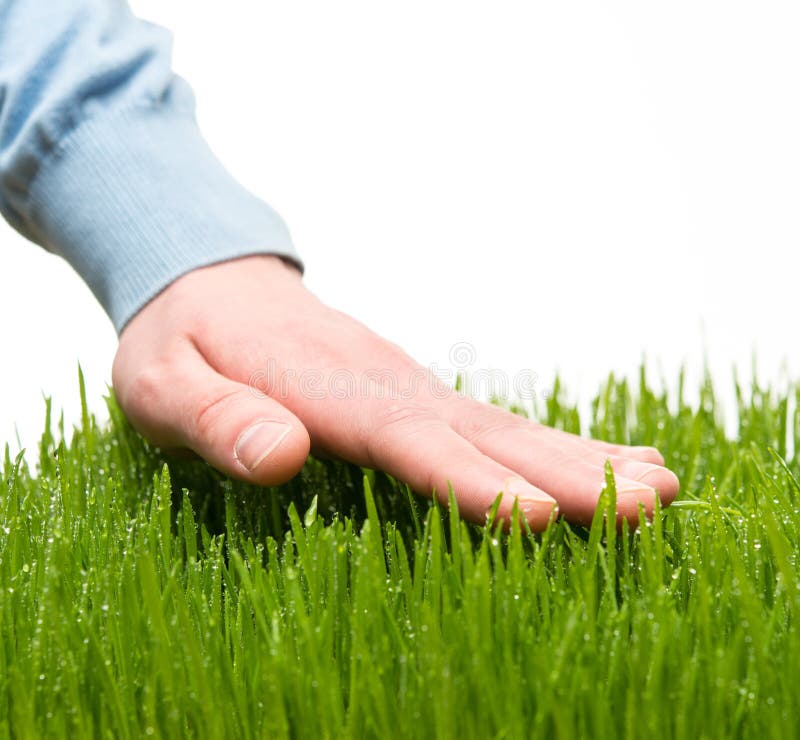 Person touching grass - Stock Image - F012/0423 - Science Photo Library