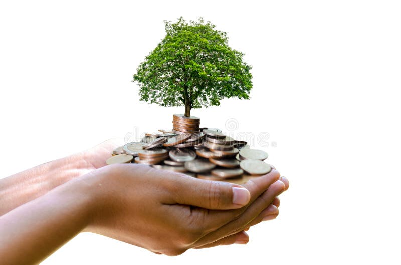 Hand tree Coin Isolate hand Coin tree The tree grows on the pile. Saving money for the future. Investment Ideas and Business Growt stock photos