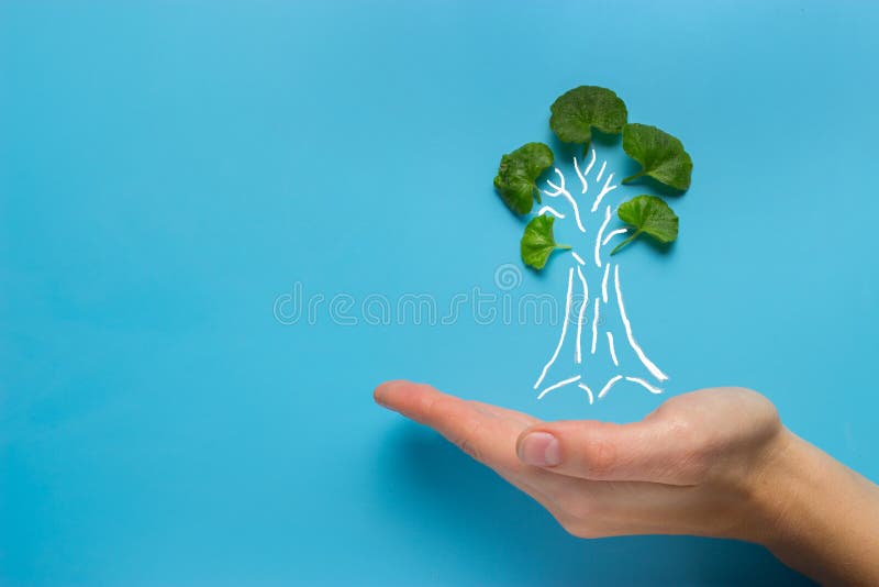 Hand with tree decrease global warming. ecology concept. Pollution decrease stock images, royalty-free photos and pictures