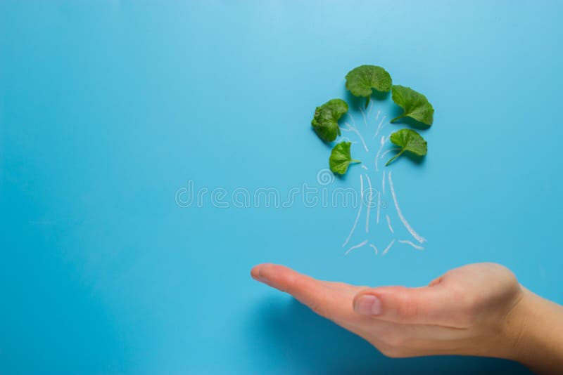 Hand with tree decrease global warming. ecology concept. Pollution decrease stock images, royalty-free photos and pictures