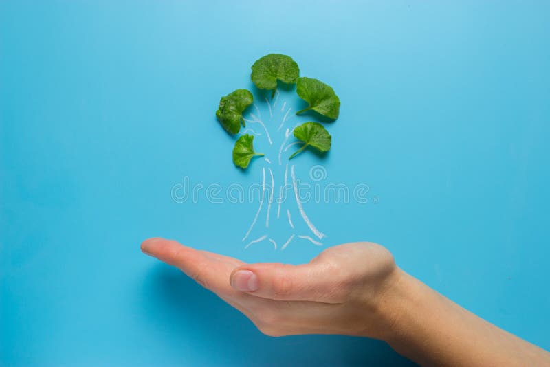 Hand with tree decrease global warming. ecology concept. Decrease business concept illustrations