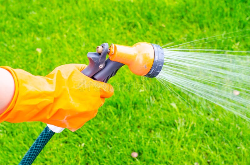 Hand Water From The Watering Can On The Hose