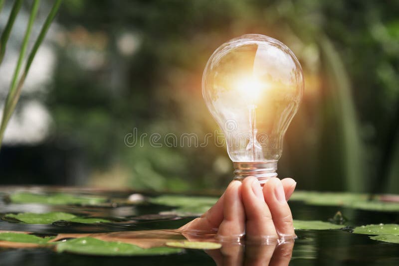 hand woman holding light bulb in water, innovation and inspiration