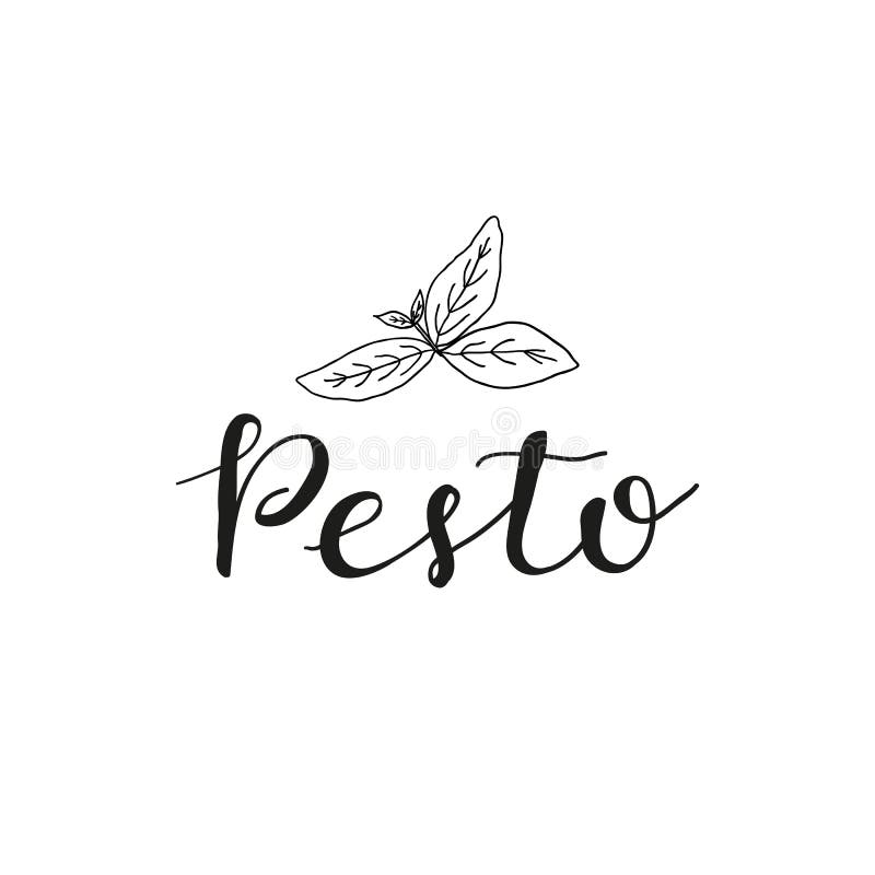 Hand Written Lettering Pesto with Basil Leaves. Stock Vector