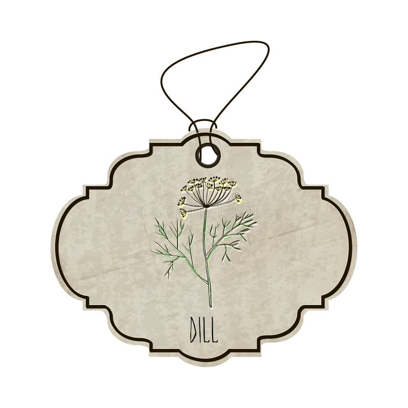 Handdrawn ilustracja od kolekci pikantność i ziele Stara etykietka w retro stylu z kolorowym fragrant koperem wektor ilustracji Handdrawn ilustracja od kolekci pikantność i ziele Stara etykietka w retro stylu z kolorowym fragrant koperem wektor ilustracji