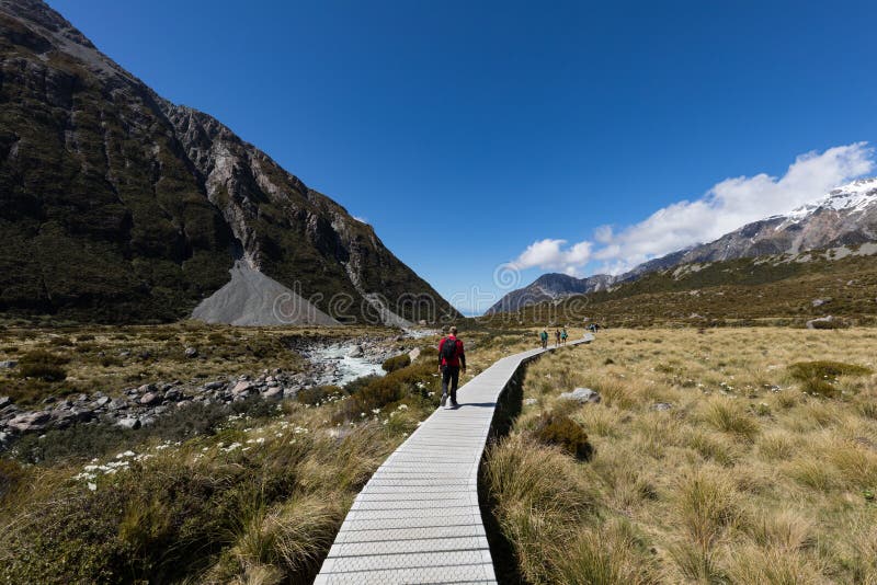 Handelsresande som fotvandrar på det berömda prostituteraddalspåret i den nyazeeländska monteringskocken Aoraki National Park för royaltyfria foton Handelsresande som fotvandrar på det berömda prostituteraddalspåret i den nyazeeländska monteringskocken Aoraki National Park för royaltyfria foton