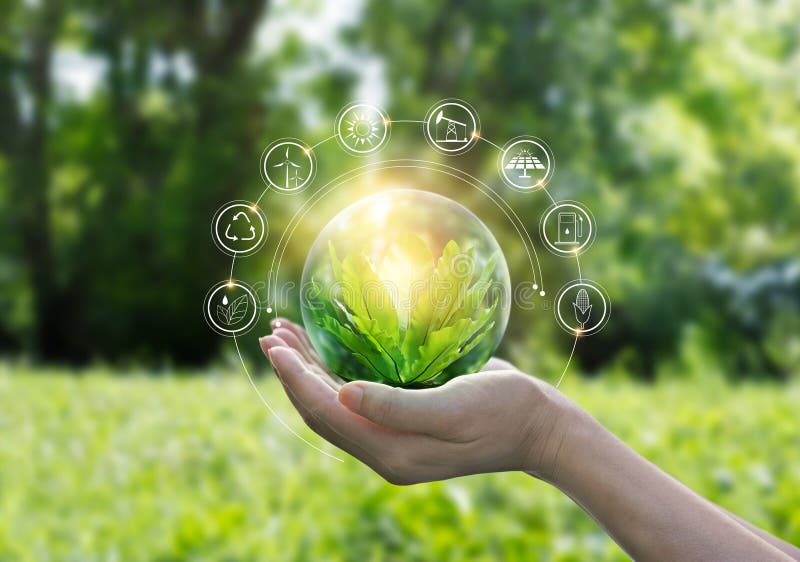 Handen beschermen de wereld van de groene boom op de tropische natuur - achtergrond - ecologie en milieu - concept van de zomer Handen beschermen de wereld van de groene boom op de tropische natuur - achtergrond - ecologie en milieu - concept van de zomer