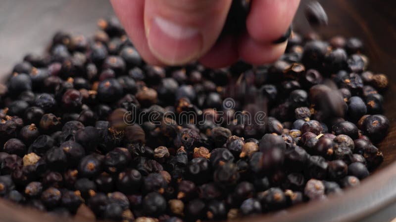 Handentnahme getrockneter Wacholderbeeren aus einer Holzschüssel.