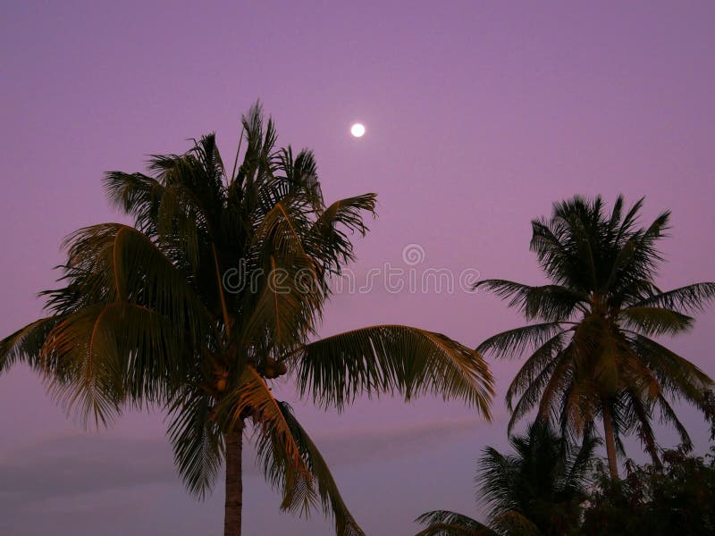 Sonnenuntergang In Guadeloupe Stockfoto - Bild von meer ...