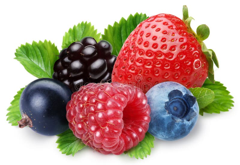 Handful of berries stock image Handful of berries stock image