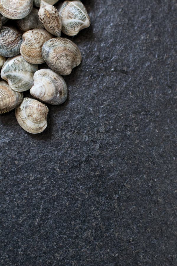 handful of & x22;lupini& x22; type clams on a black granite table ready to