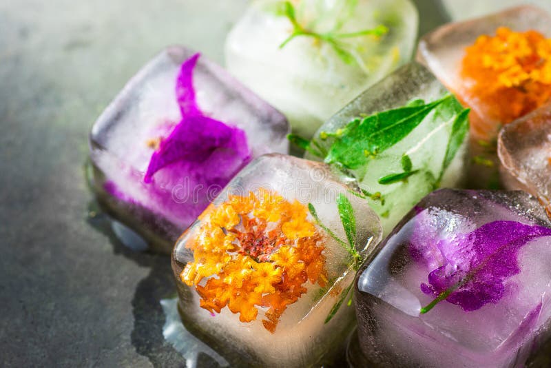 Handgemachte Eis-Würfel mit gefrorener Kraut-Betriebsblumen-Gesichtshautpflege-Schönheits-Badekurort-Antialtern lizenzfreie stockfotos Handgemachte Eis-Würfel mit gefrorener Kraut-Betriebsblumen-Gesichtshautpflege-Schönheits-Badekurort-Antialtern lizenzfreie stockfotos