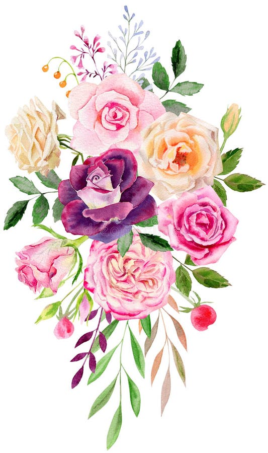 Handgemalte Aquarellmodell clipart Schablone von Rosen vektor abbildung