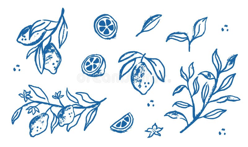 Handgezeichnete Zitronenfrucht. Zitronensatz mit Ast und Blume im rosa Doodle Stil. Line Blue Art vektor abbildung