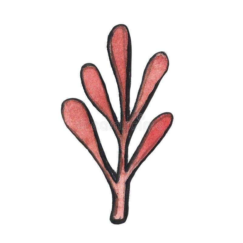 Handgezogene Blumenaquarellillustration einer Blattniederlassung lokalisiert auf weißem Hintergrund Herbst, Fall, Laubfall stock abbildung Handgezogene Blumenaquarellillustration einer Blattniederlassung lokalisiert auf weißem Hintergrund Herbst, Fall, Laubfall stock abbildung