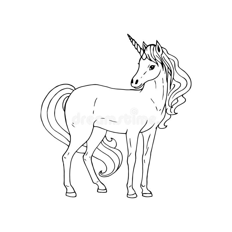 Handgezogenes Einhorn Vector Schwarz Weiss Skizze Vektor Abbildung Illustration Von Ausfuhrlich Hintergrund 169065719