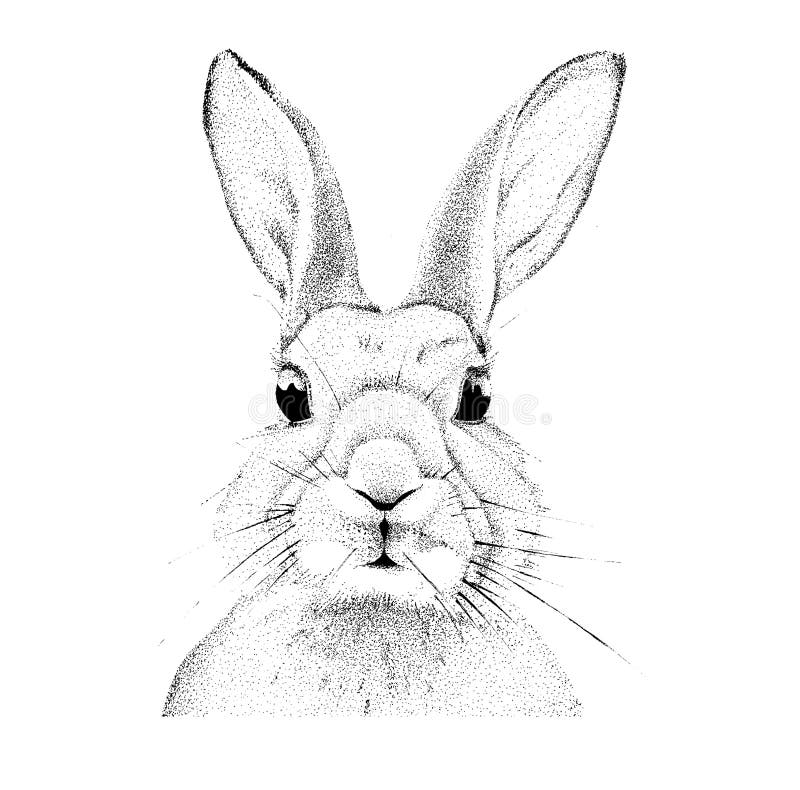 Handgjord kanin för diagram