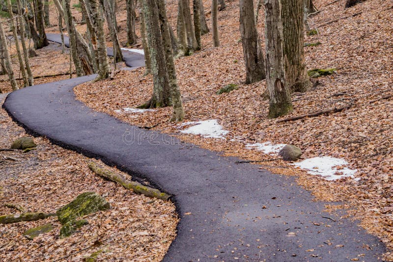 A Handicap Accessible Walking Path through the Woods Stock Photo