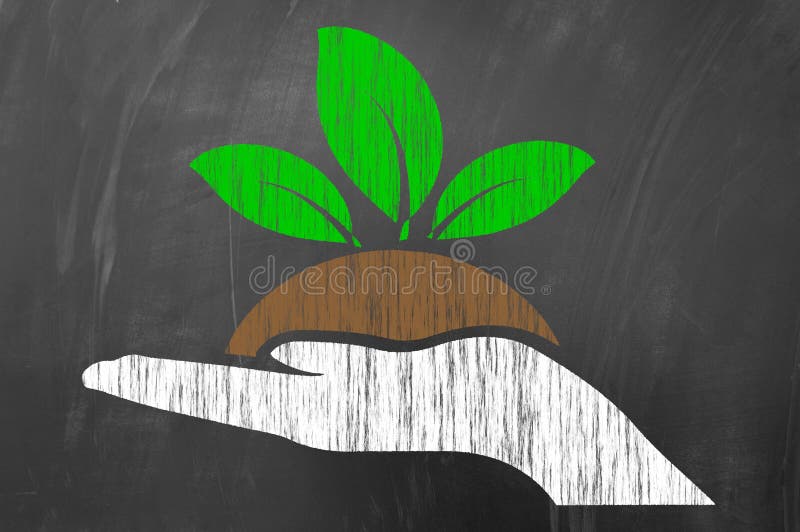 Handinnehavväxt eller planta som åkerbrukt begrepp royaltyfri bild Handinnehavväxt eller planta som åkerbrukt begrepp royaltyfri bild