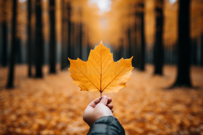Handkritzelt ein gelbes Blatt, umgeben von zarten Herbstwald stock abbildung