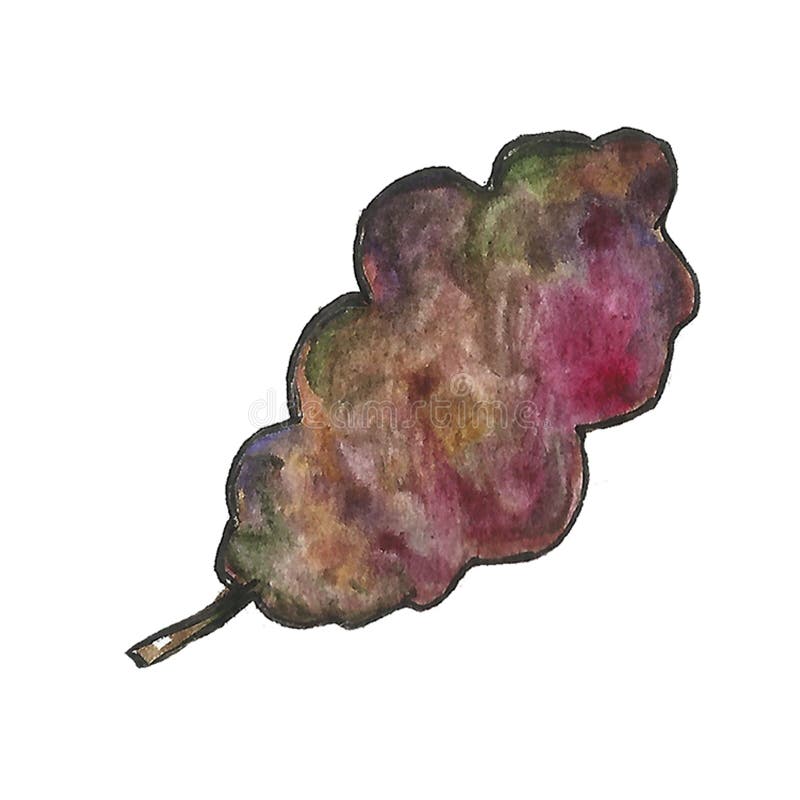 Handlokalisierte gezogene botanische Aquarellmit blumenillustration einer einzelnen gesetzten Rahmenblattniederlassung Herbst, Fa vektor abbildung Handlokalisierte gezogene botanische Aquarellmit blumenillustration einer einzelnen gesetzten Rahmenblattniederlassung Herbst, Fa vektor abbildung