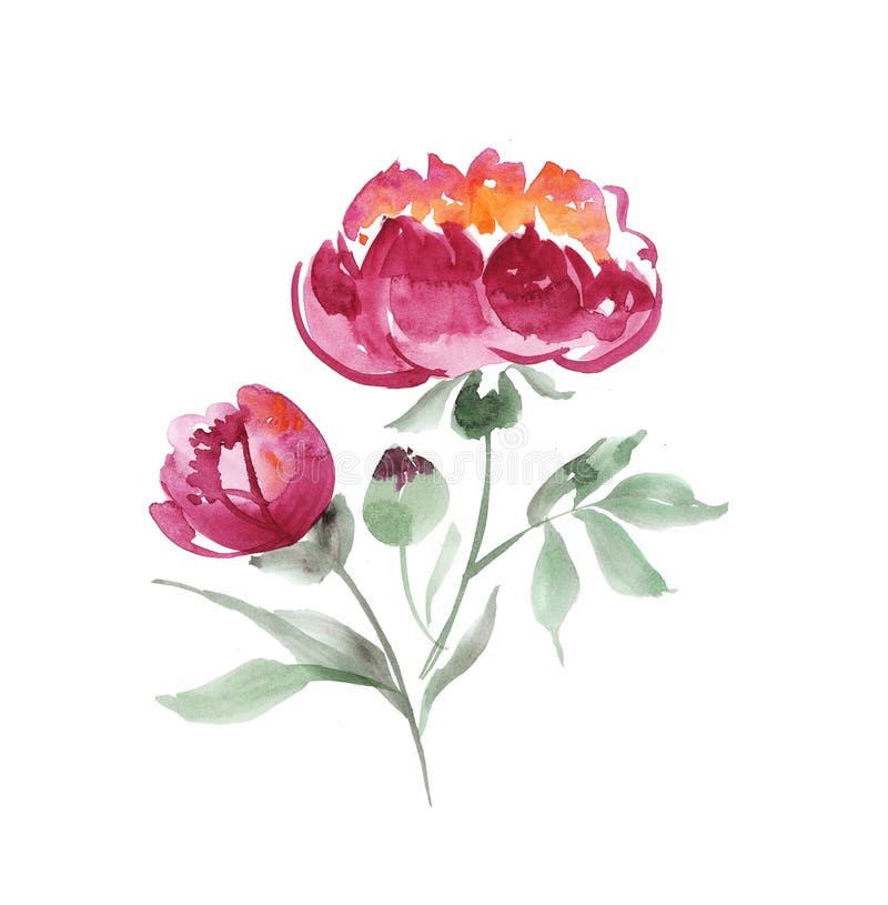 Handmade farba rysujący eleganccy dekoracyjni kwiaty ilustracji
