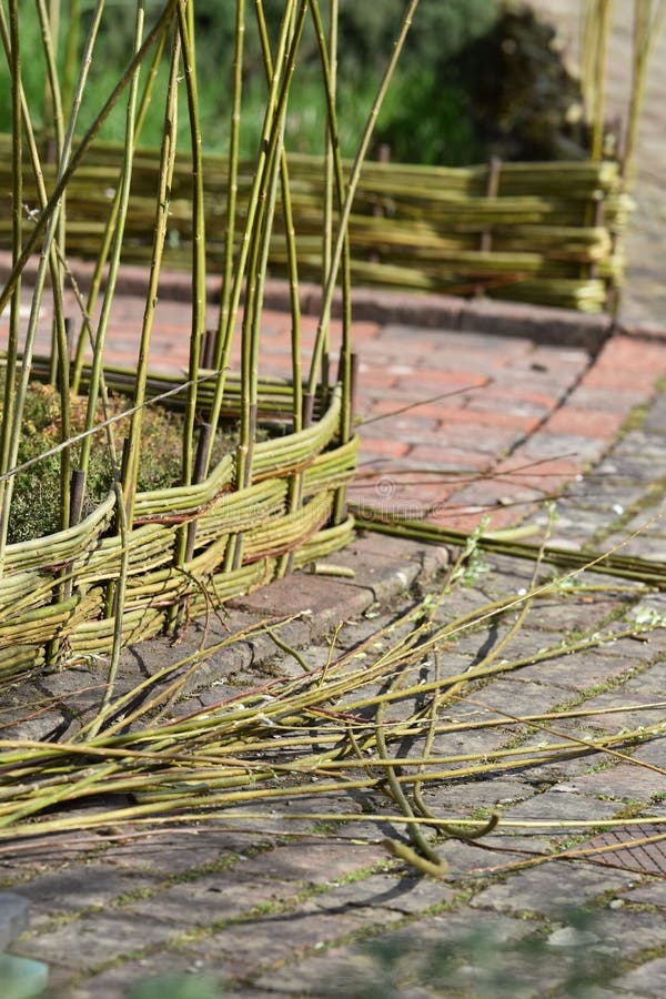 Handmade Garden Willow Edging Stock Photo Image of design, divide 176069336