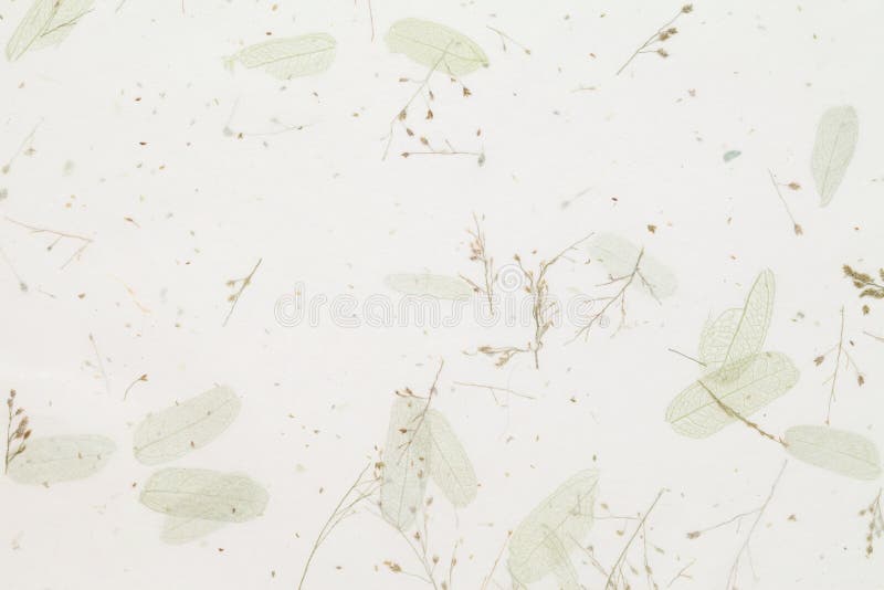 Handmade paper royalty free stock photo
