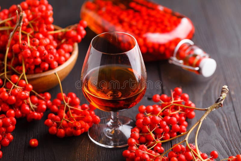 Handmade Rowan-vodka and Red Berries of Rowan Tree Stock Image - Image ...