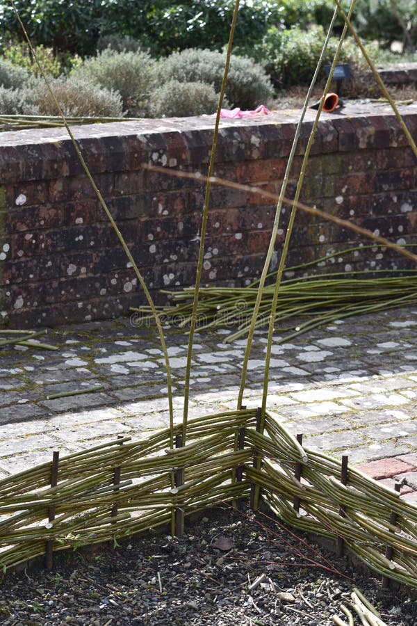 Handmade Woven Garden Bed Edging Stock Photo Image of feature, people